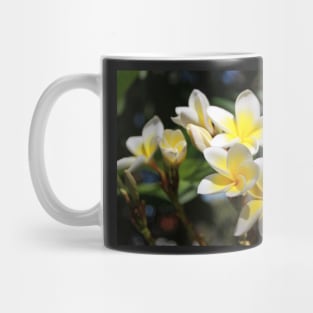 Frangipani Mug